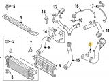 Inter-Cooler Hose